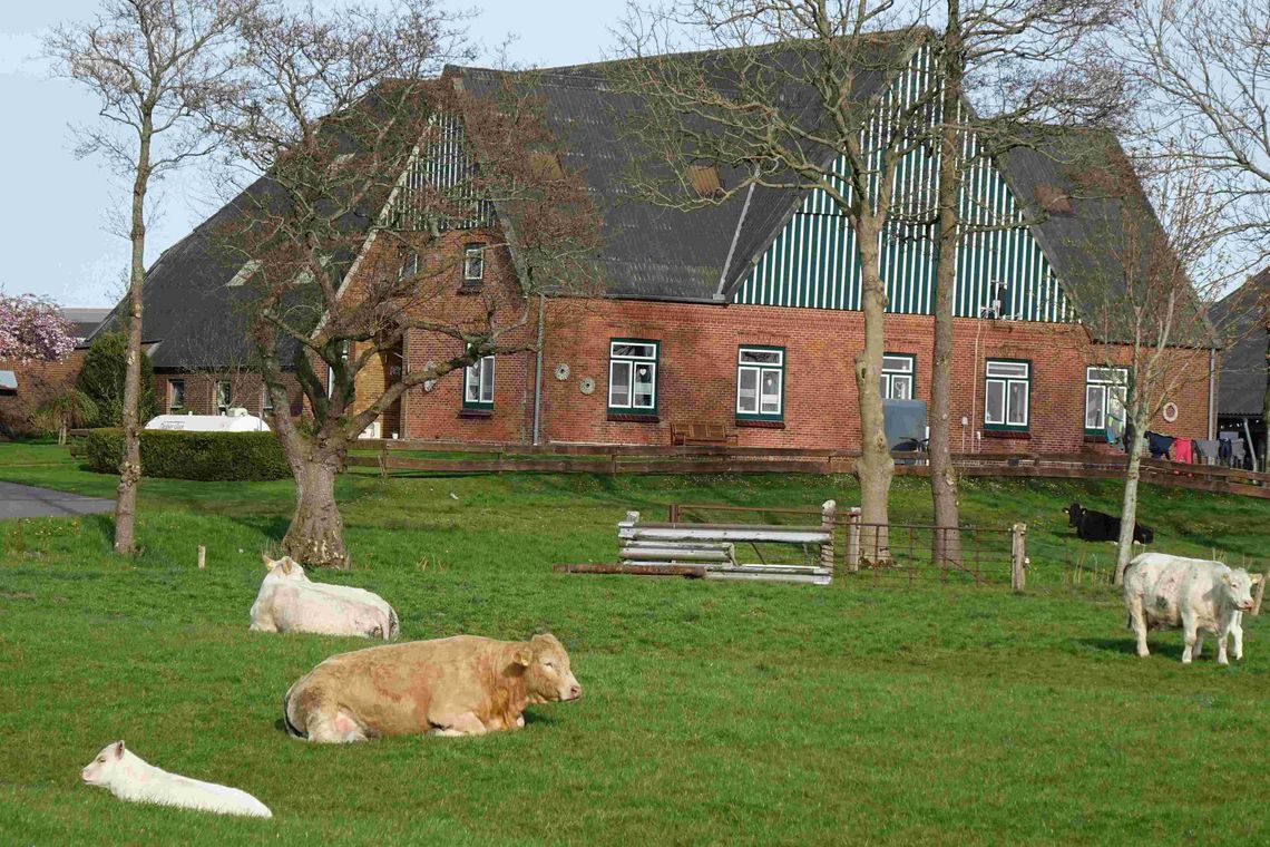 Foto vom Bauernhof